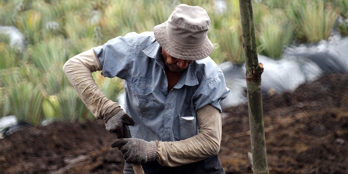 L'Ue valuta azioni di sostegno diretto agli agricoltori in difficoltà